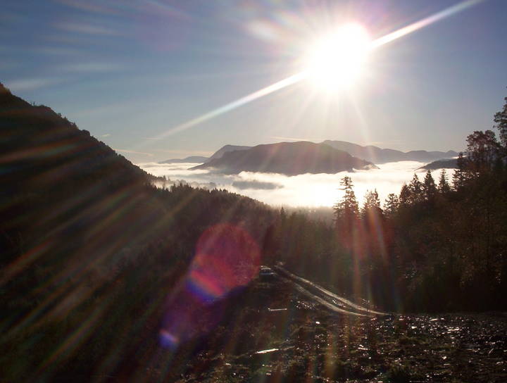 Cowichan Lake, morning view