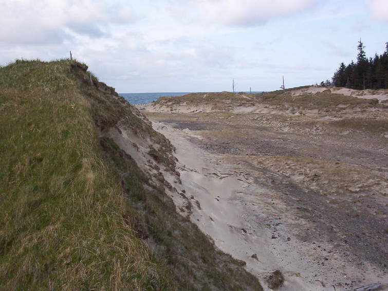 Sand dunes between Guise Bay and Experiment Bight