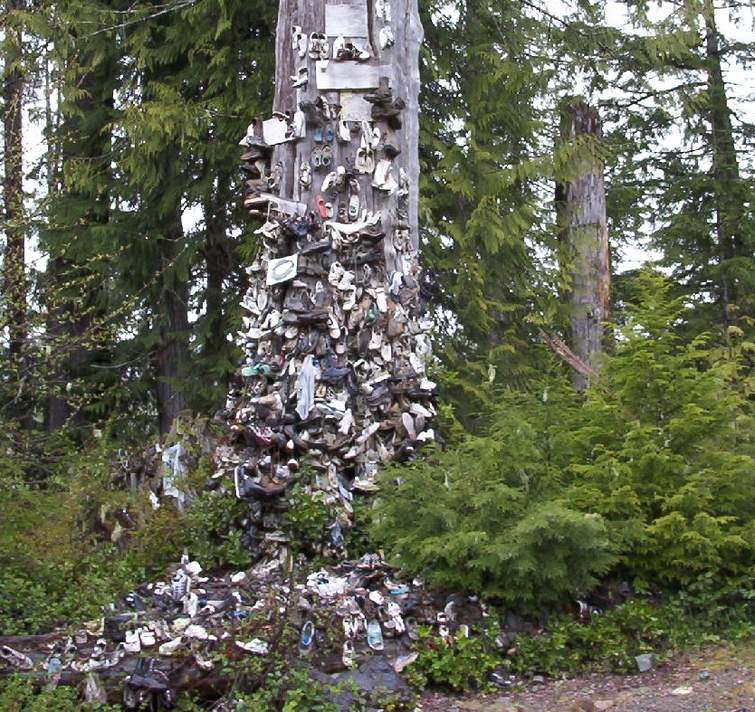 Shoes nailed to a dead tree