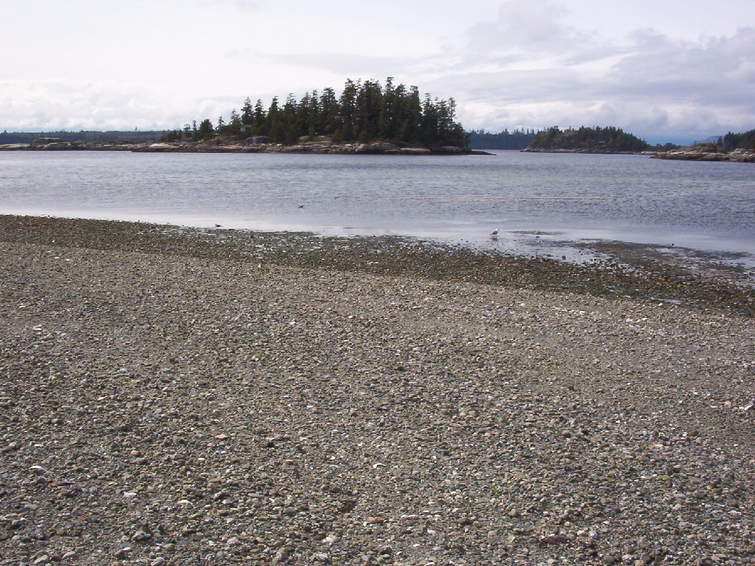 View of Marina Island