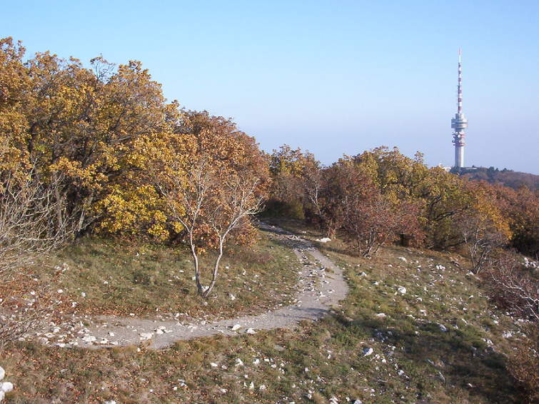 Pécs -- Hills above Pécs, TV tower