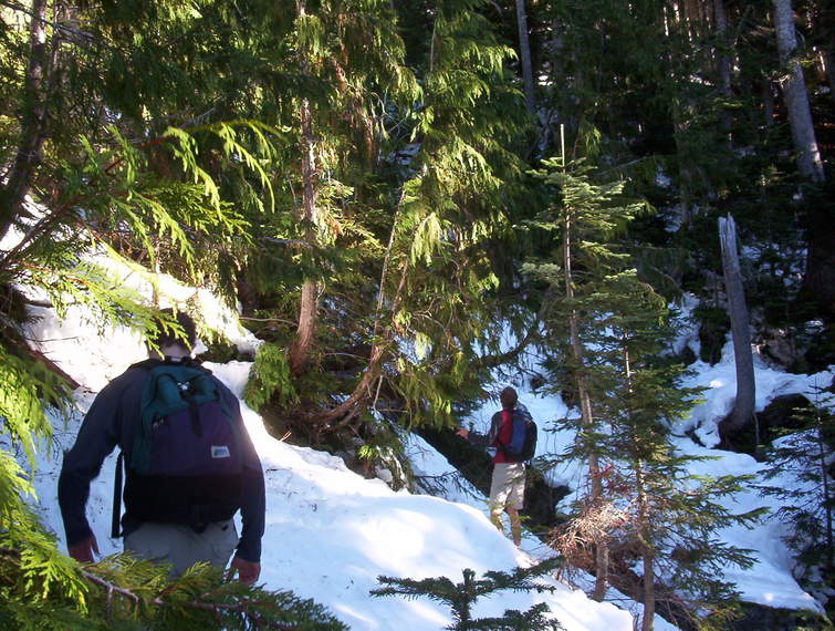 Hiking in the snow