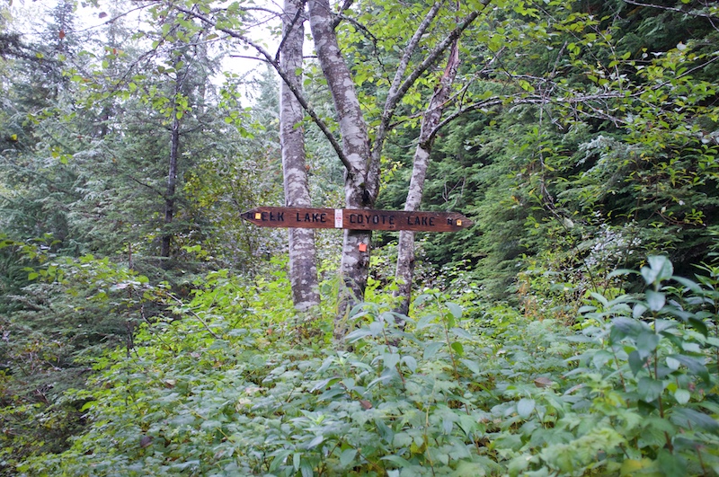 fork in road between elk and coyote lake