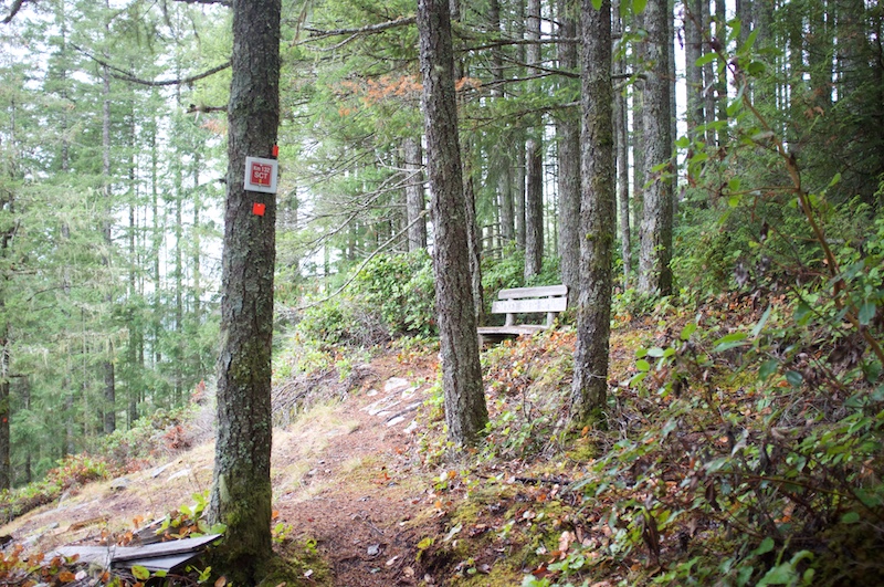 km 132 SCT