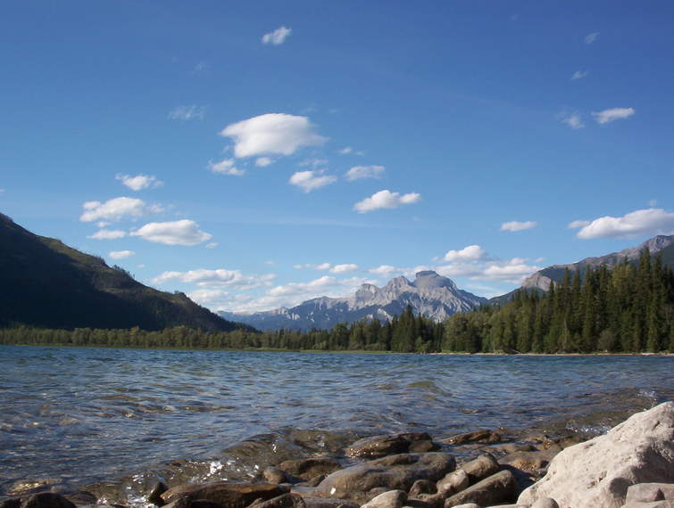 View North across Whiteswan Lake