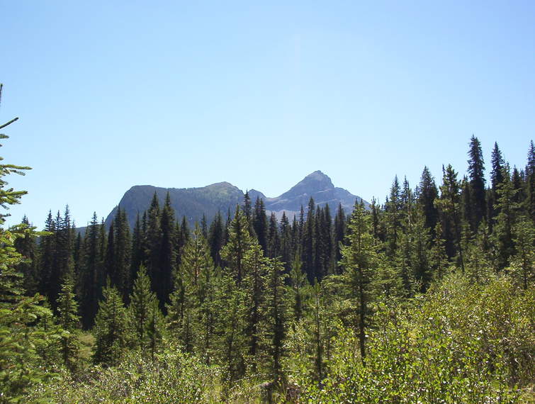 A view along the trail